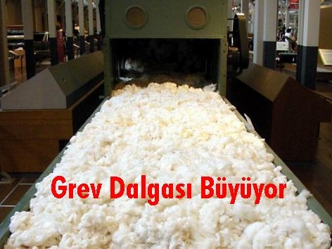 teksif grev