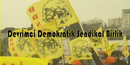 ddsb11111